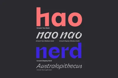 新怪诞复古经典几何抽象海报杂志排版设计英文字体系列 Ortank Font Family