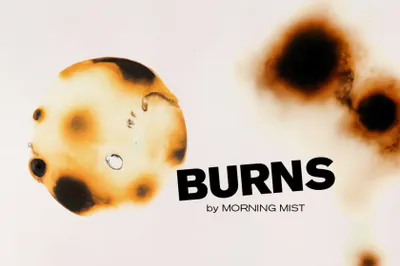 复古做旧艺术烧伤灼伤纸张纹理素材合集 Burns 2.0 by Morning Mist