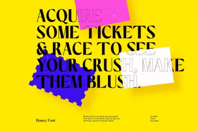 高质量优雅奢侈大胆创意品牌设计海报杂志排版英文衬线字体 Ez-Braney