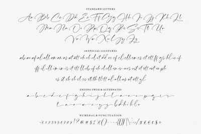奢华感优雅精致的钢笔手写连笔签名英文字体 Pardone | Luxury Signature Font