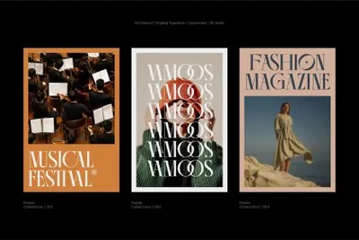 潮流前卫传统结合时尚海报品牌设计排版英文衬线字体 AO Astoria - Display Typeface