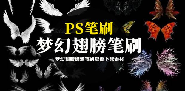 PS笔刷-梦幻翅膀蝴蝶笔刷资源下载素材