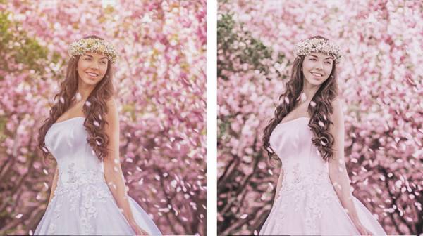 INS风格日系樱花粉色调胶片LR预设+LUT预设