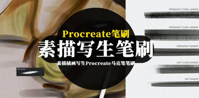 Procreate笔刷-素描插画写生Procreate马克笔笔刷资源素材下载