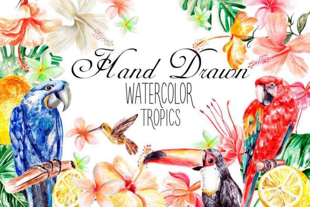 PNG素材-水彩热带动植物主题元素设计插画PNG素材