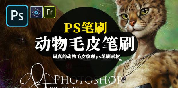 PS笔刷-逼真的动物毛皮纹理ps笔刷素材资源下载