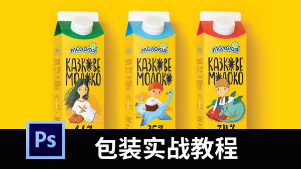 包装设计实战案例分析中文视频教程