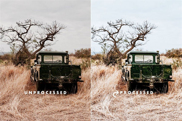 50个野生动物摄影旅游照片调色LR预设 Wild Safari Lig