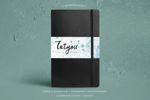 英文手写体字体+样机+笔刷样机模板Tetyou-Script