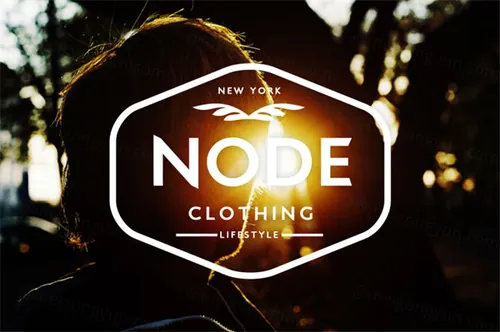 15组复古风格徽章图标素材 Vintage Logos  Badges