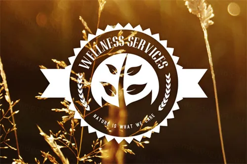 15组复古风格徽章图标素材 Vintage Logos  Badges