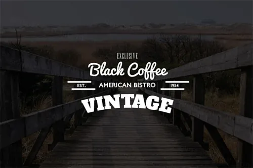 10组复古风格徽章图标素材  Vintage Logos  Badges