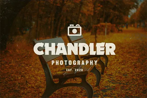 15组复古风格徽章商标模版素材 Vintage Logos  Badges