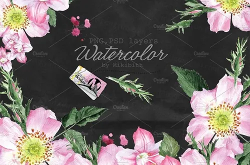 手绘水彩花卉插画元素设计素材 Dog-rose