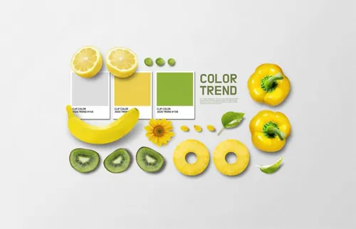 VI品牌水果色卡纸套装设计展示样机