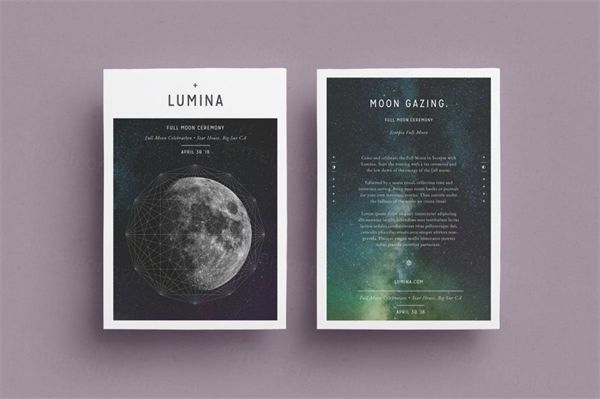 朴素设计风格多用途传单设计模板 LUMINA Flyer