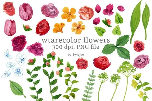 Watercolor Flowers