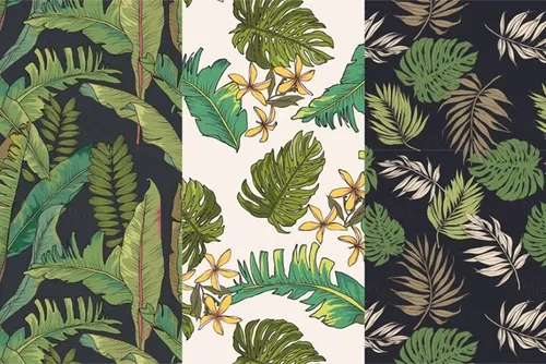 棕榈树的叶子插画素材Palm-Tree-Leaves