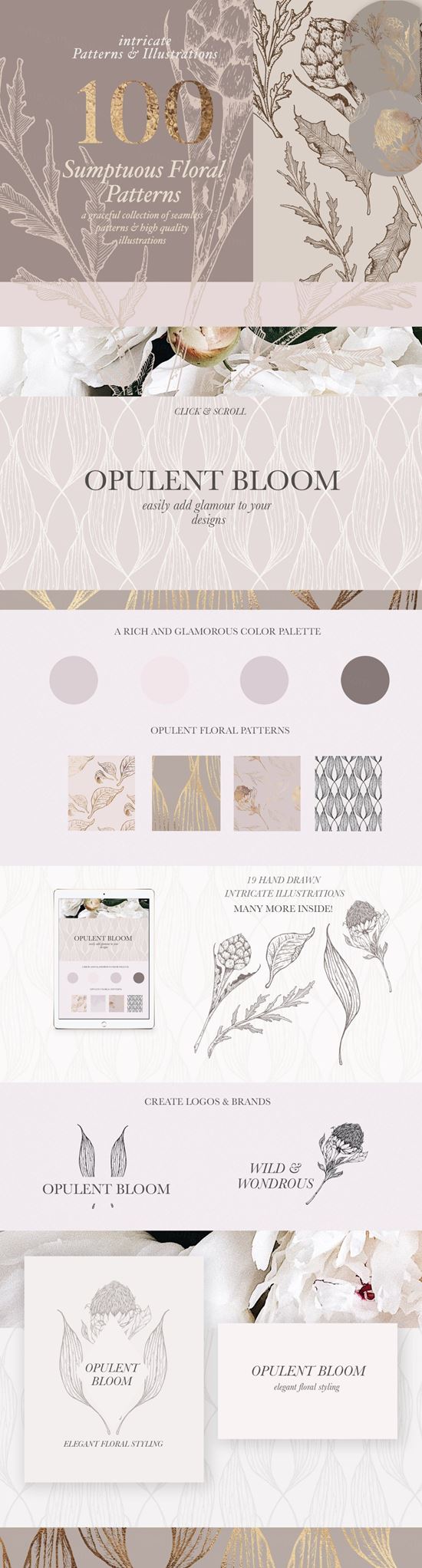 矢量手绘精致的花卉插图素材 Floral-Patterns-