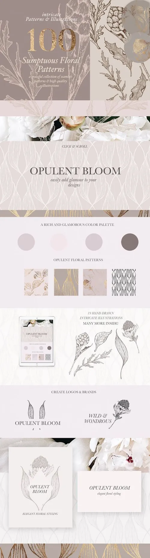 矢量手绘精致的花卉插图素材 Floral-Patterns-