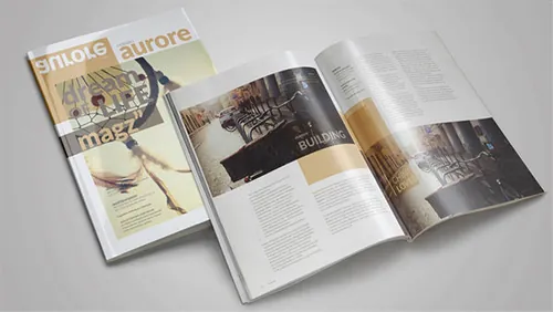 Multipurpose Indesign Magazine Template