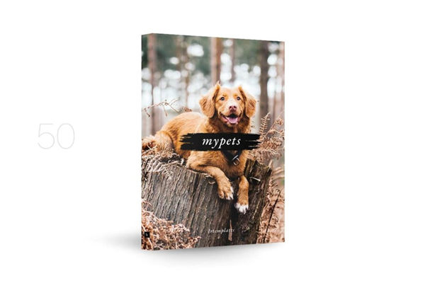 50款宠物博主小清新摄影照片LR调色预设 myPETs Lightro