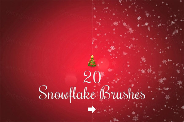 20个雪花效果的笔刷 20 Snowflake brushes