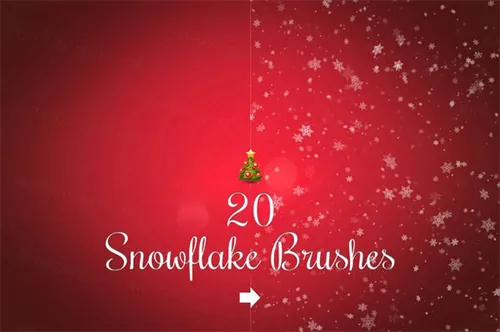 20个雪花效果的笔刷 20 Snowflake brushes