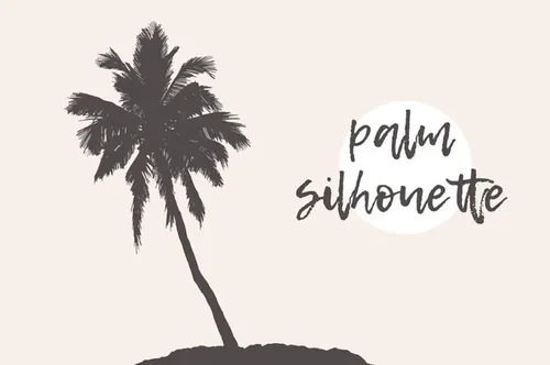 素描椰子树剪贴画 Illustration-of-a-palm-tree