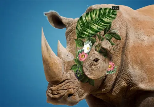 ps合成特效动作教程Floral Faces - ps Action