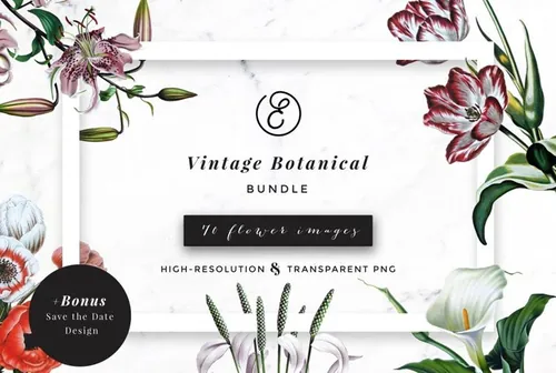 复古花卉植物设计素材 Vintage-Botanical-B