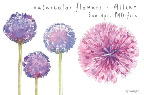 Watercolor Flowers , Floral