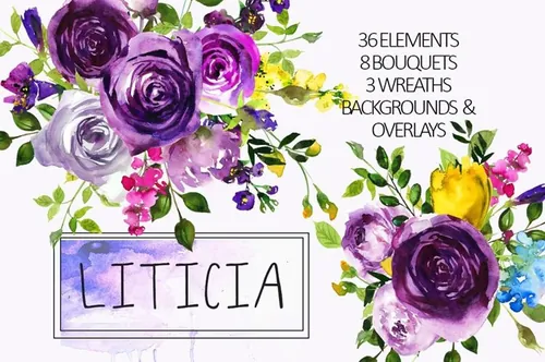 手绘水彩紫罗兰花卉设计素材 Purple Violet Fl