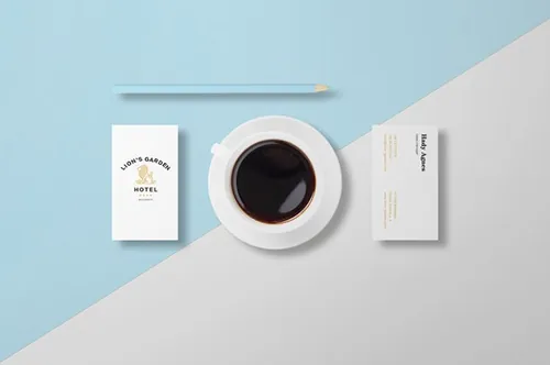 精美的蓝白色风格名片样机展示模板