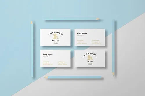 精美的蓝白色风格名片样机展示模板02