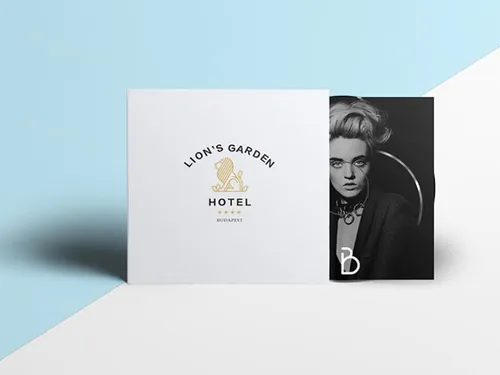 蓝白色封装画册品牌样机贴图展示模板