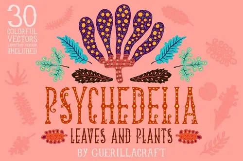 迷幻音乐主题手绘植物盒树叶和仙人掌原始插图素材 Psyche