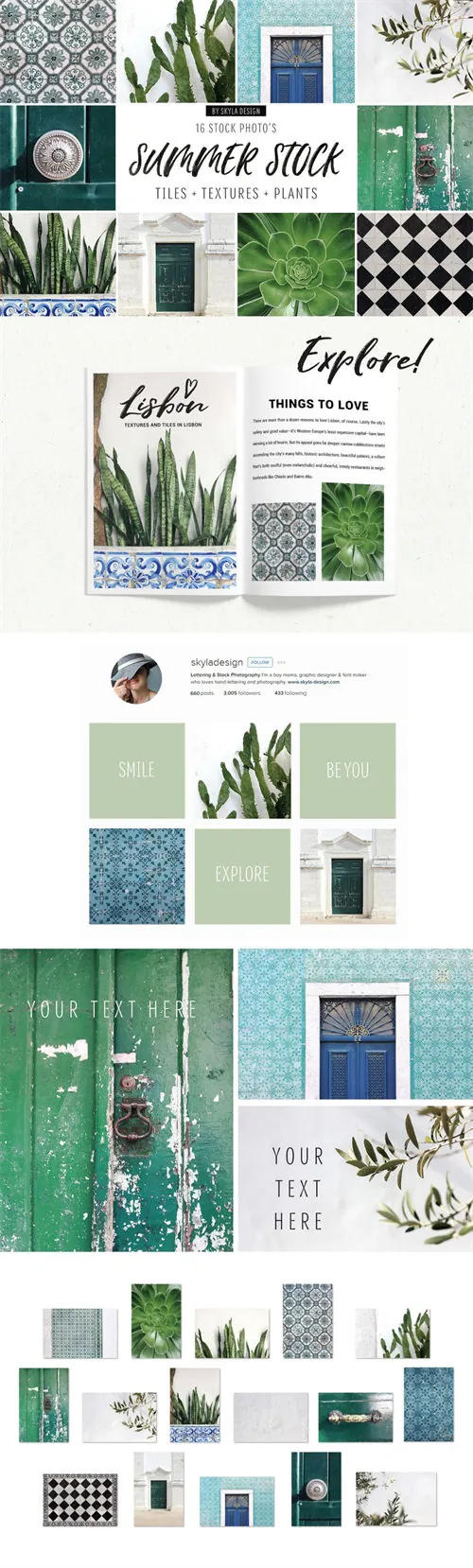 炎炎夏日植物主题场景样机 Summer stock , texture , tiles , plants