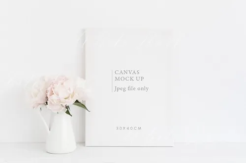 JPG画框样机 Canvas mock up