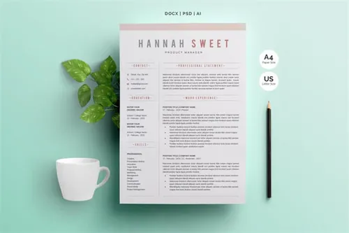 1专业简历模板 Word Resume Template