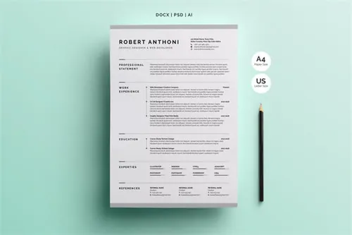 创意性简历模板 Creative Resume CV Template
