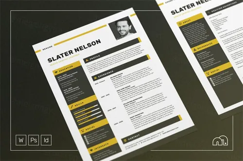 专业的简历模板 Slater ResumeCV