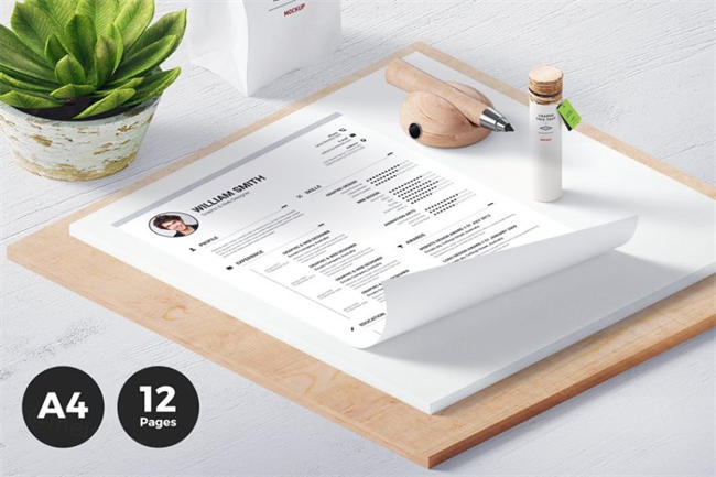 极简主义简历模板 ResumeCV