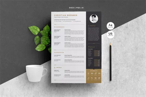简洁的简历模板下载 ResumeCV Template