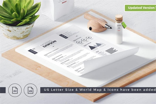 干净的信息图表简历模板 Clean Infographic ResumeCV