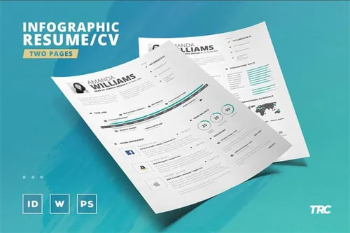信息图表个人工作简历模板第5卷 Infographic Resume