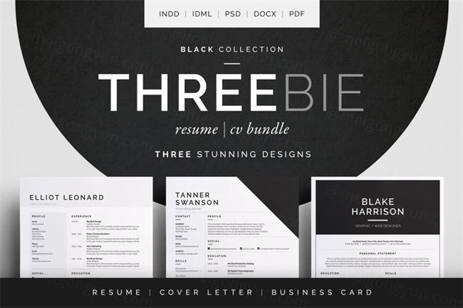 简洁具有设计感的个人简历模板 Threebie ResumeCV Bundle