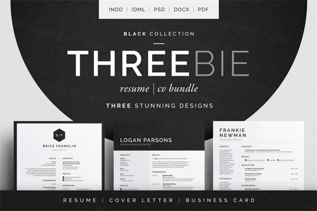 经典实用黑白简历模板 Threebie ResumeCV Bundle 3