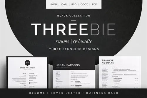 经典实用黑白简历模板 Threebie ResumeCV Bundle 3