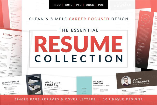 基本的个人简历模板集 Essential ResumeCV Collection